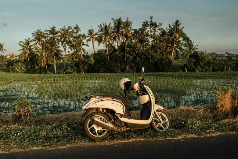 A scooter parked by a rice field.